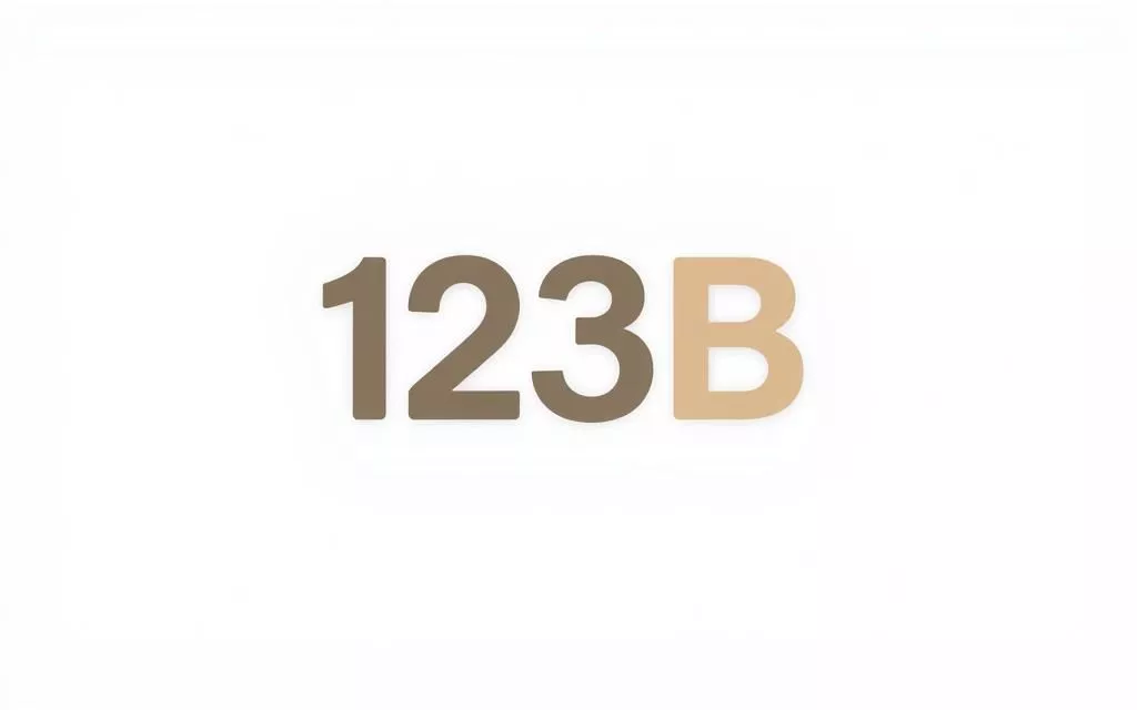 Điều khoản chung 123B